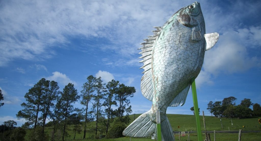 Big Barra