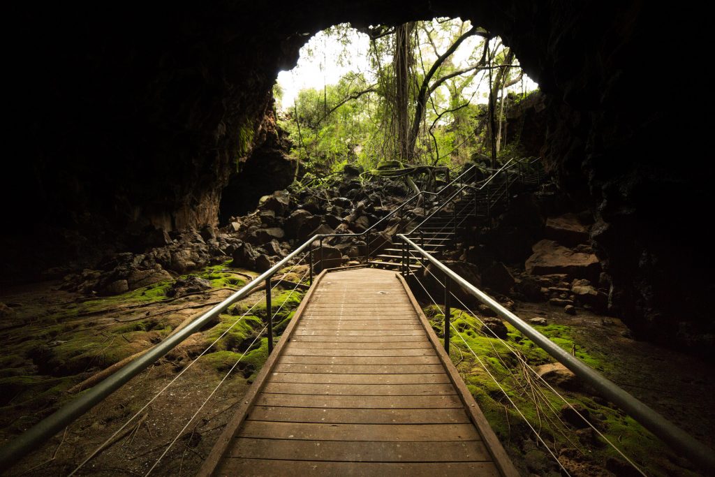 boardwalks at undara volcanic national park