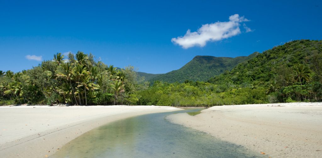 Cape tribulation beach