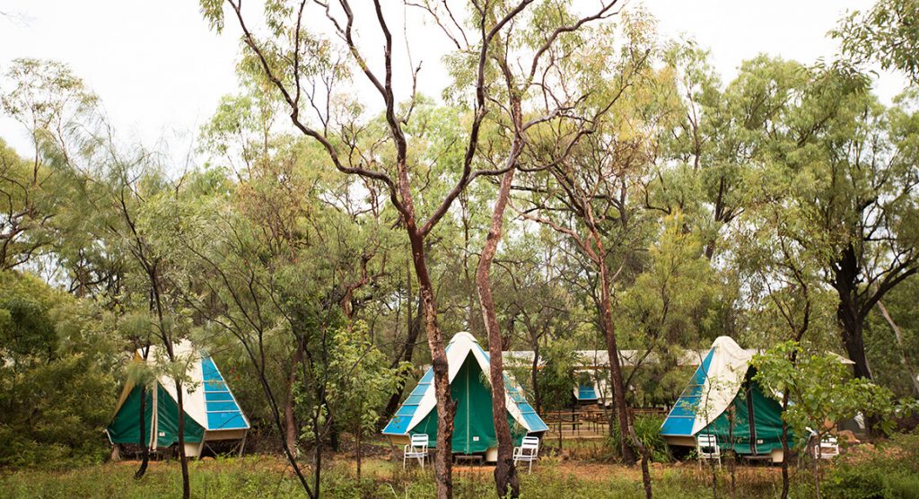 Camp site