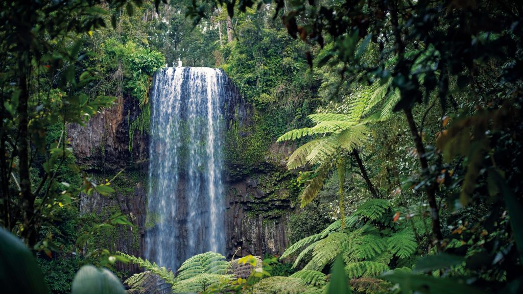 Millaa Milla Falls near Atherton