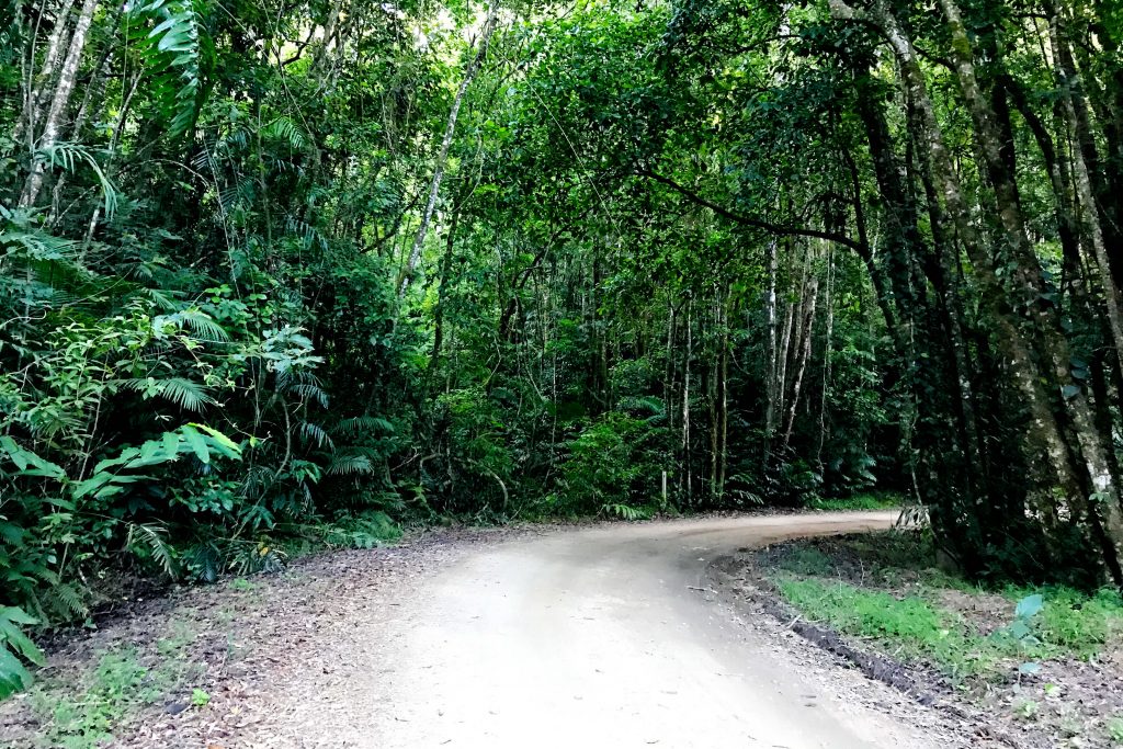Kirrama Range Road