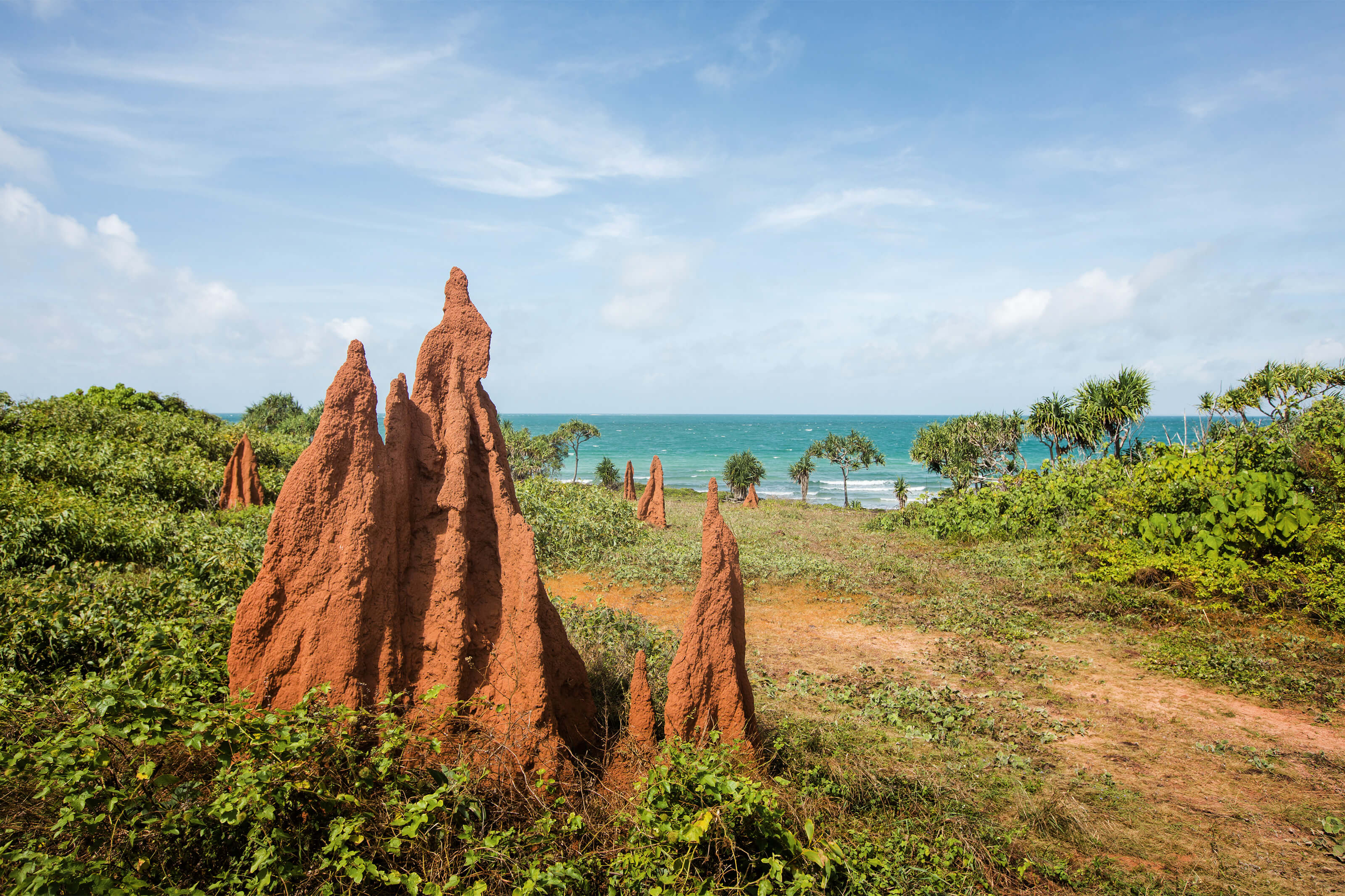 punsand bay termite mounds cape york