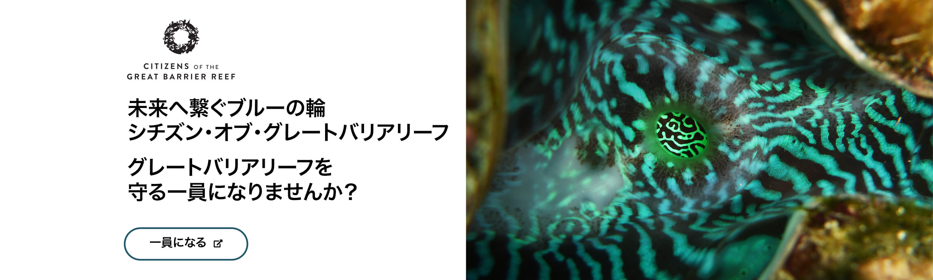 Citizens of the Great Barrier Reef