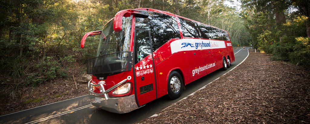 Greyhound bus