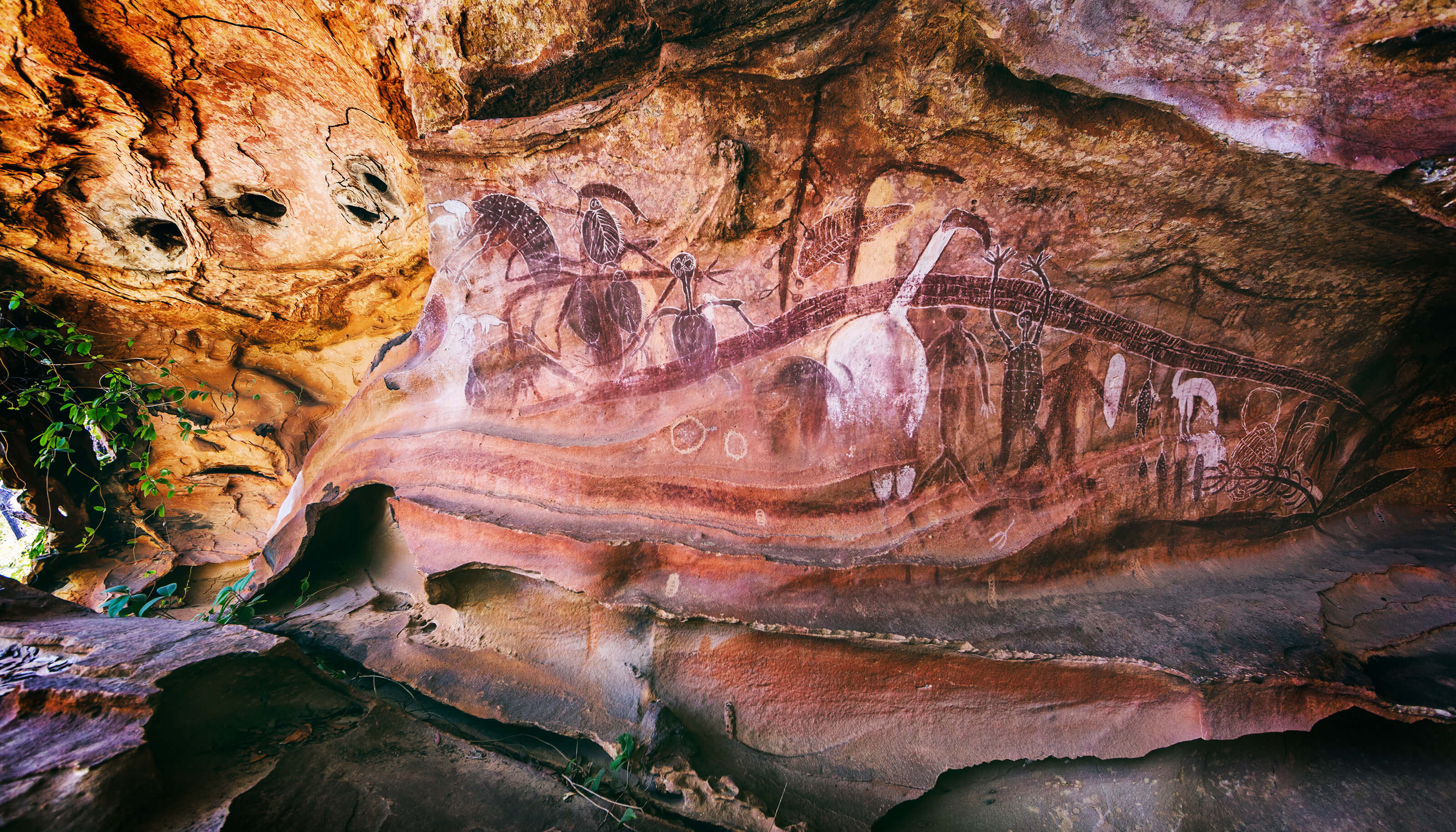 Rock art sites on quinkan country at laura