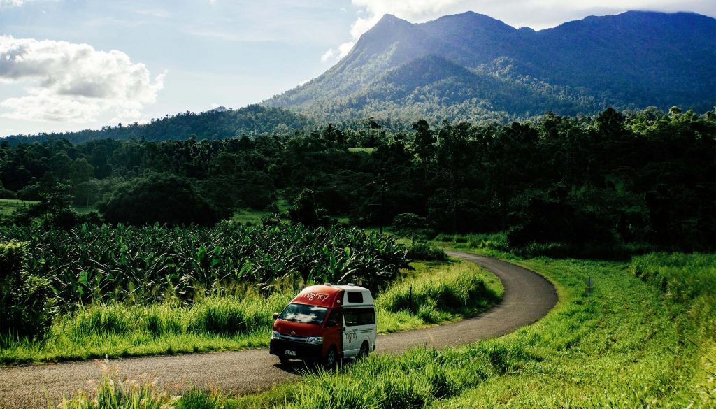 driving on the cassowary coast