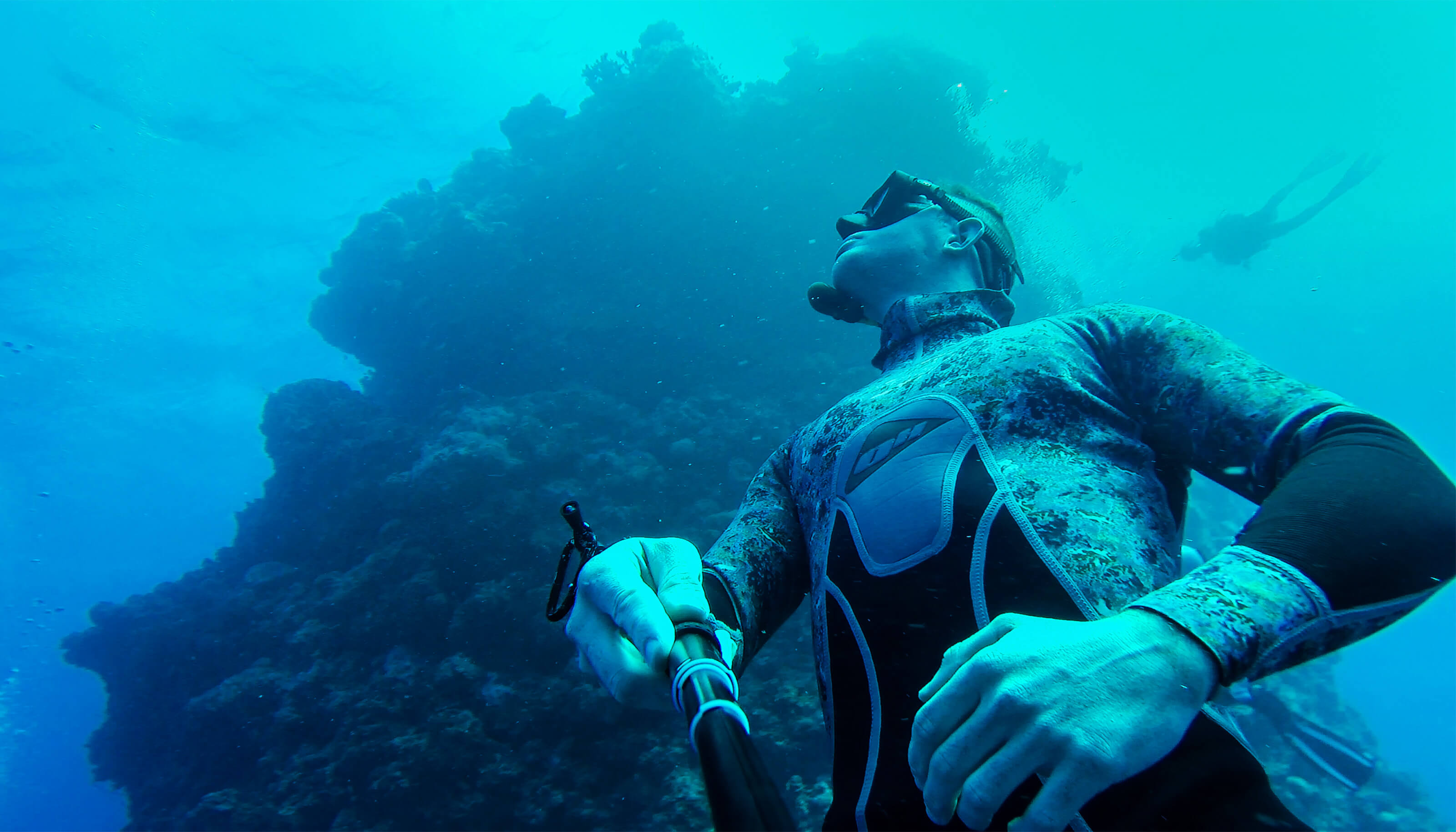 spearfishing in tnq