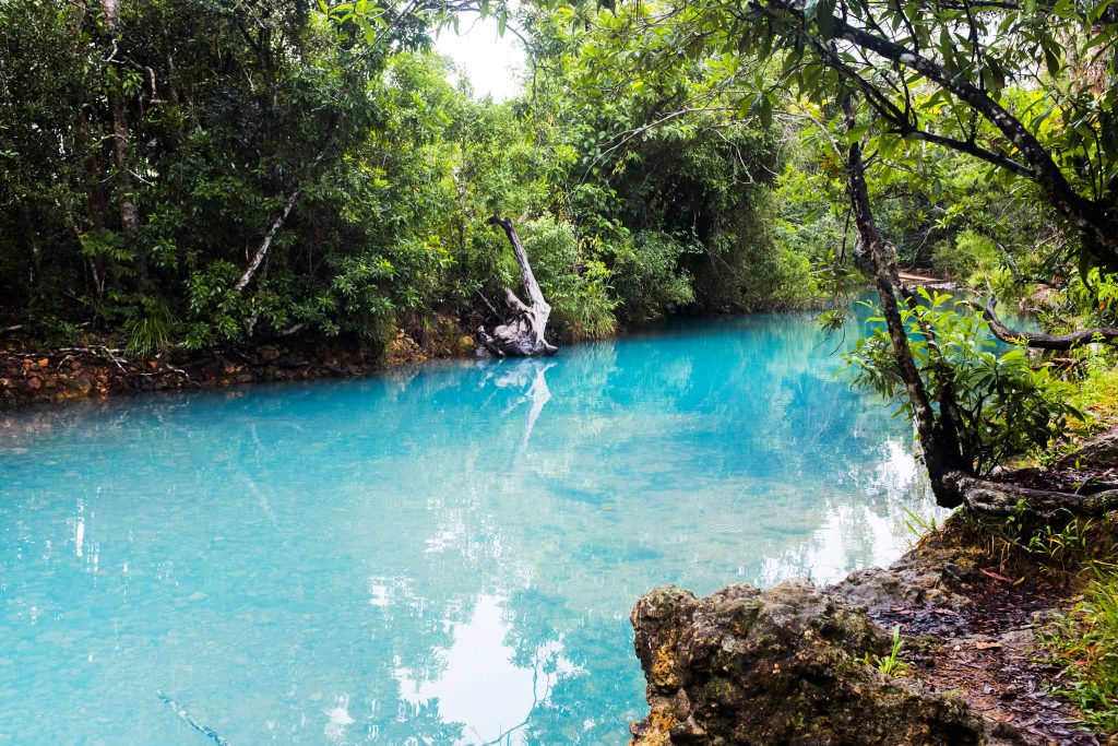 cardwell spa pools