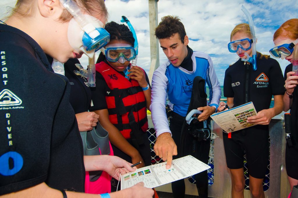 marine biologist on sunlover reef cruises