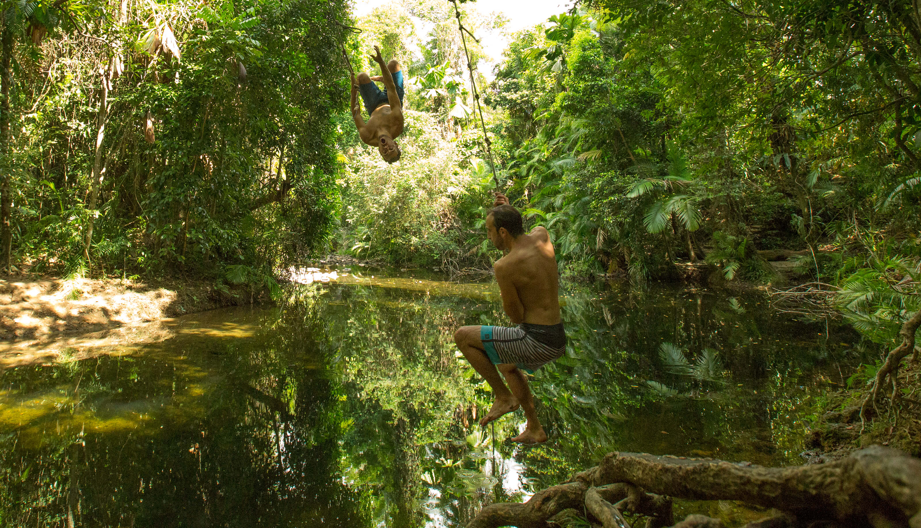 Rope swings above waterhole in rainfroest