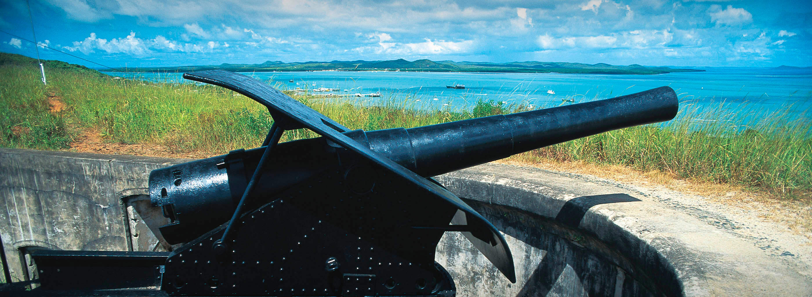 Cannon