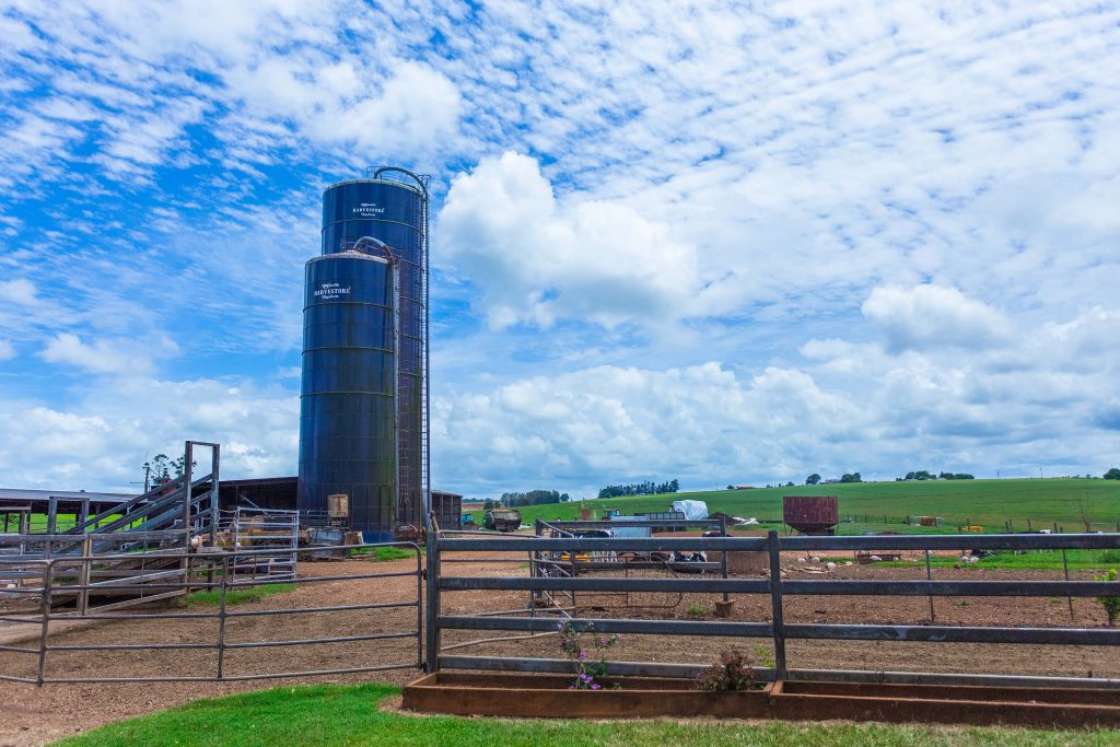 Gallo Dairyland