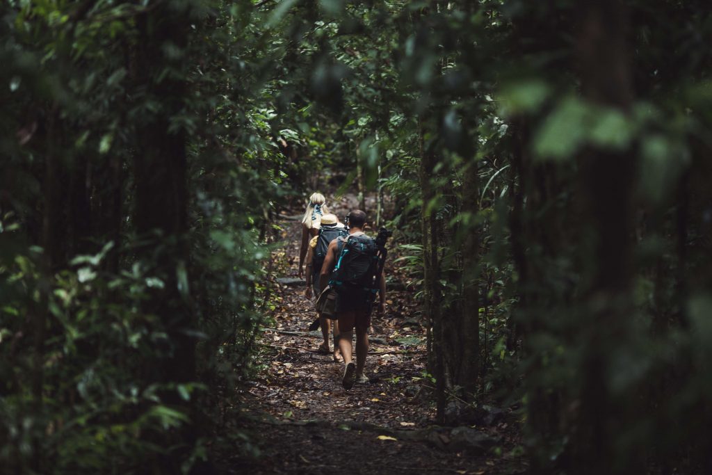 Hiking to Nandroya Falls