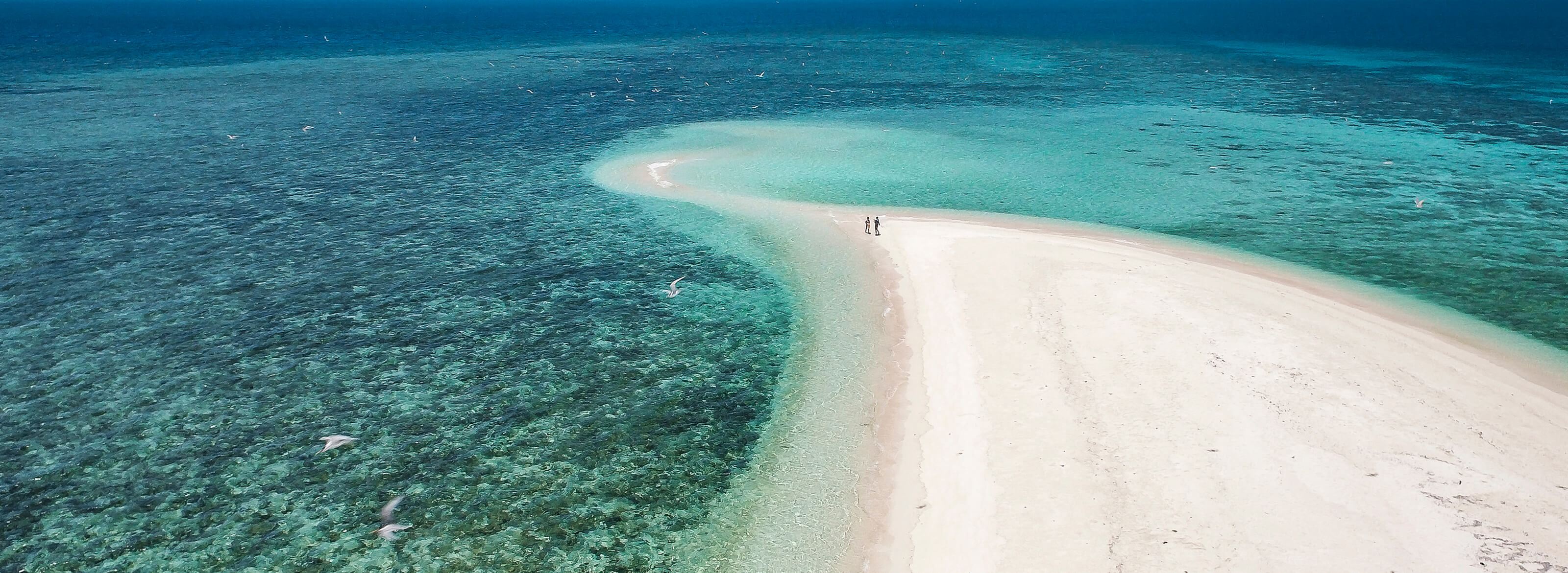 Mackay sand cay