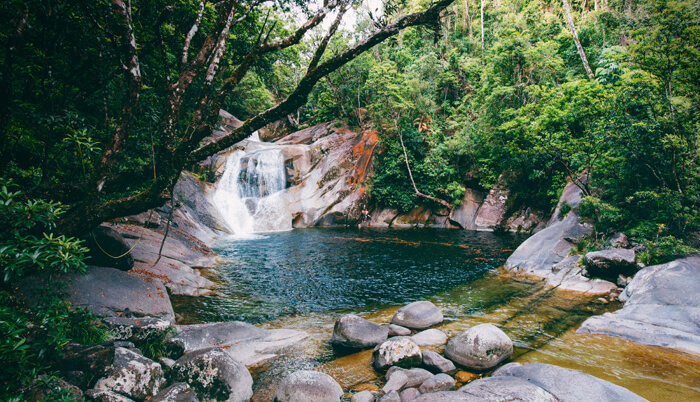 Cassowary Coast