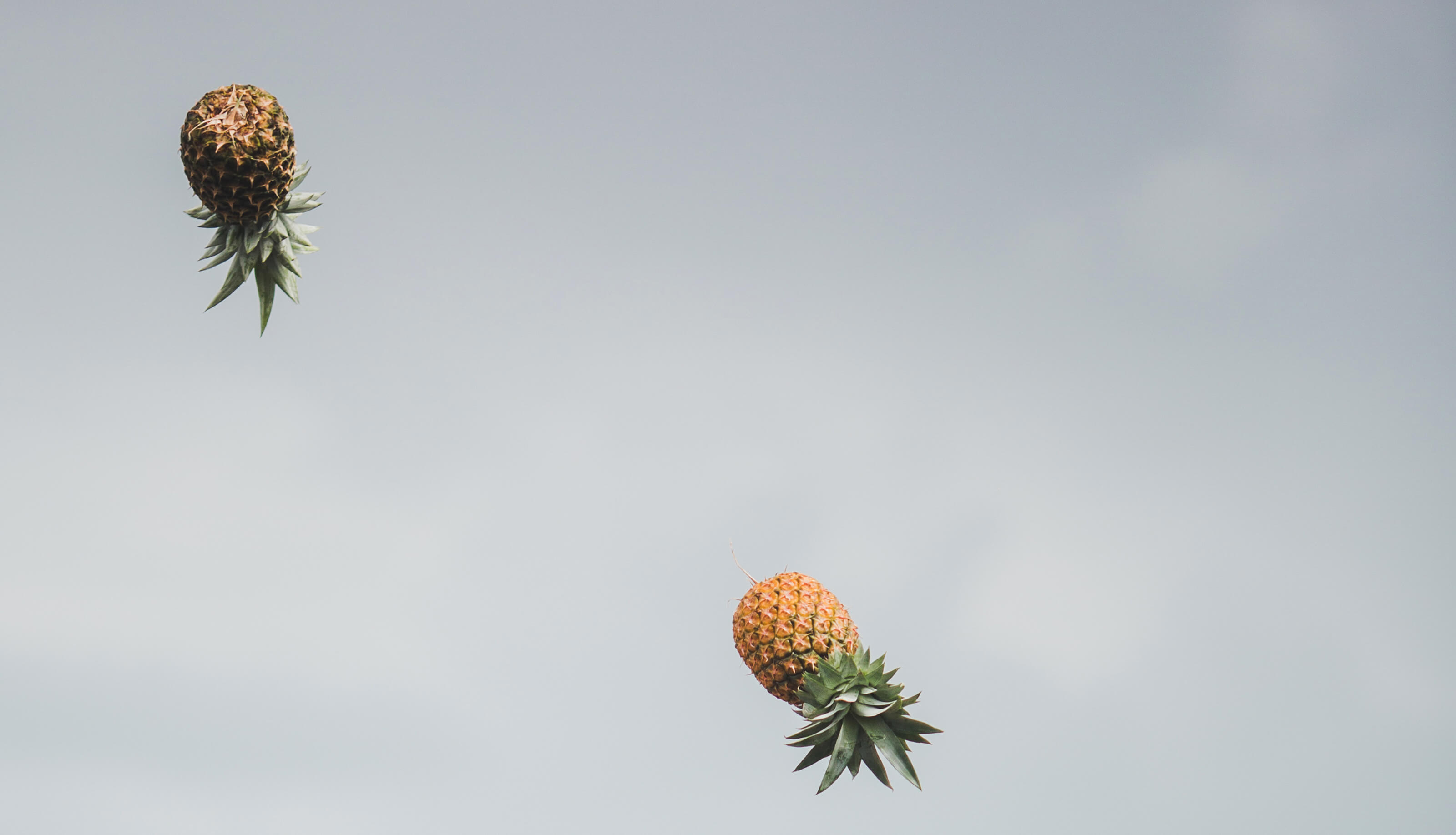 Pineapples